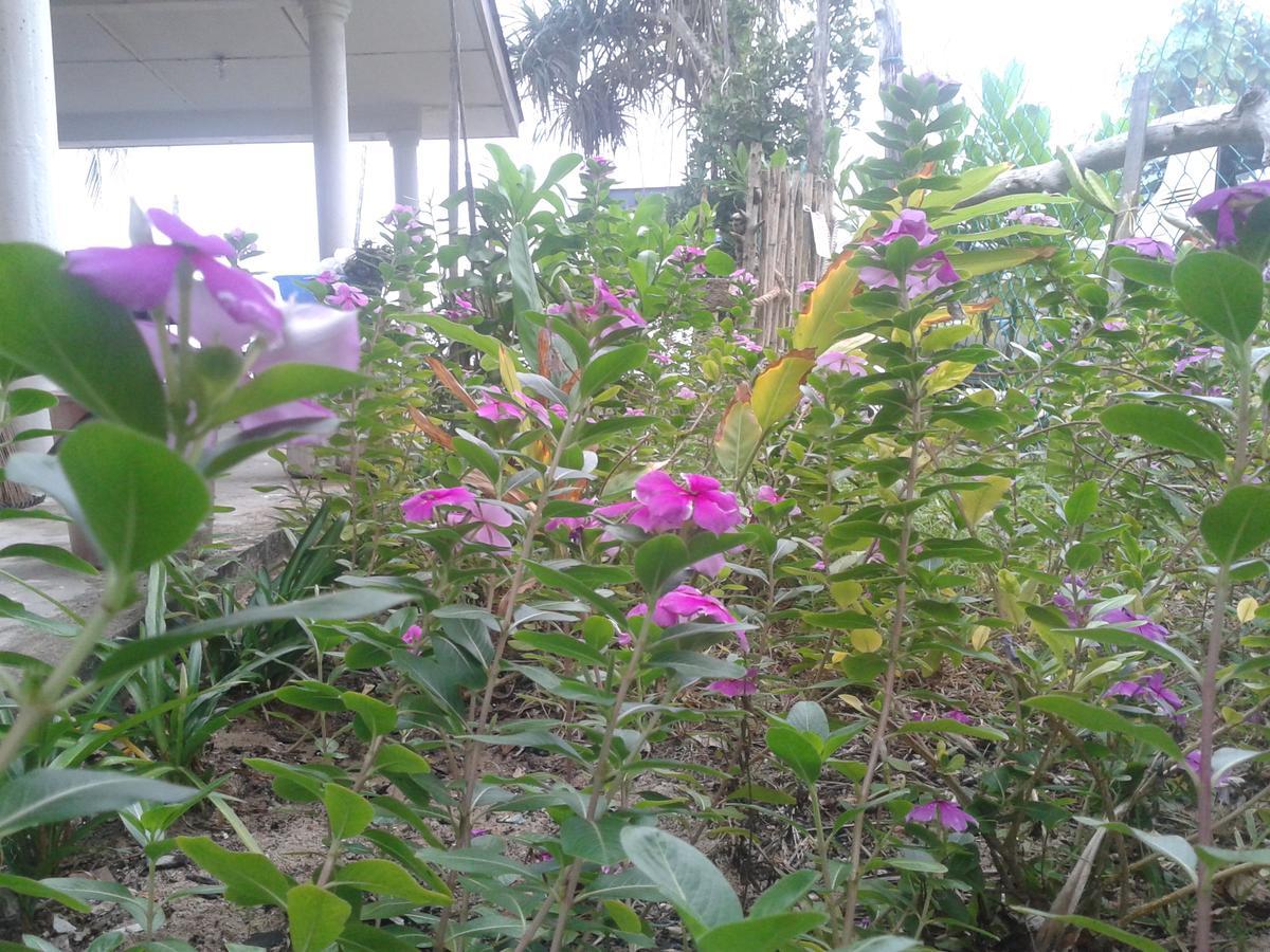 Pandan Beach Homestay Kampong Pandan 외부 사진