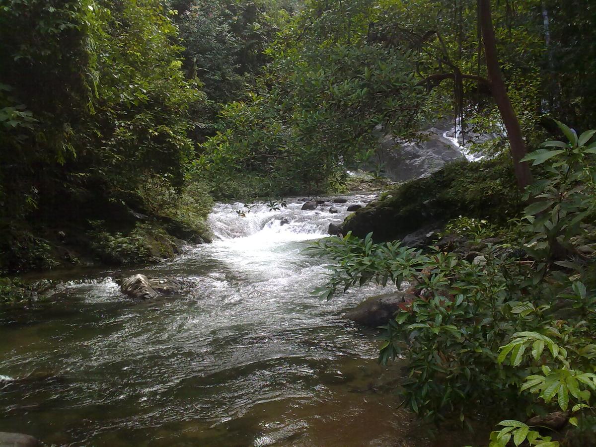 Pandan Beach Homestay Kampong Pandan 외부 사진